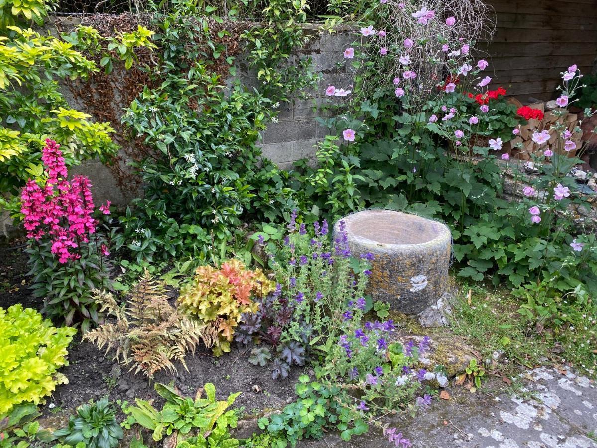 Herb Cottage Bradford-On-Avon Kültér fotó